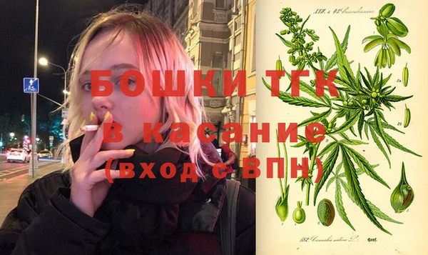 прущие грибы Арсеньев