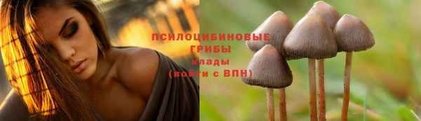 прущие грибы Арсеньев