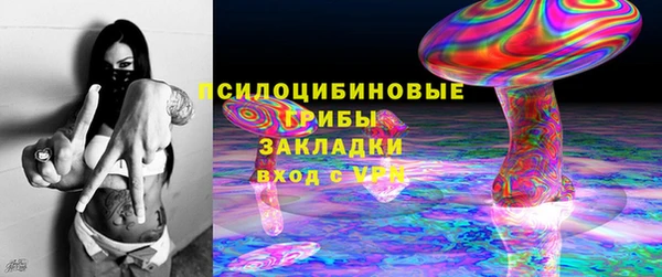 прущие грибы Арсеньев