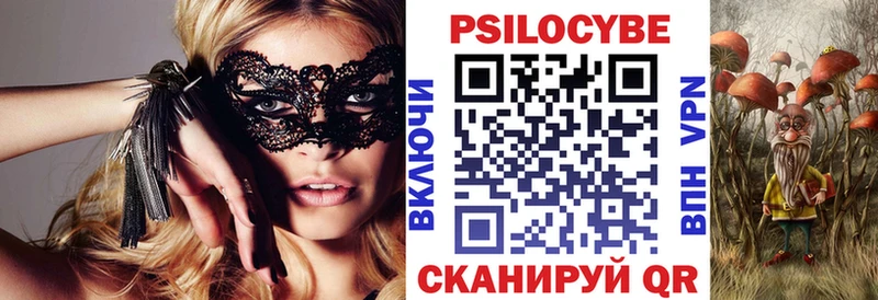 кракен зеркало  Татарск  Псилоцибиновые грибы GOLDEN TEACHER 